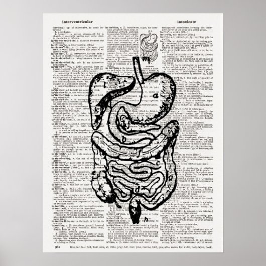 Medical Illustration Dictionary Art Poster (Voorkant)