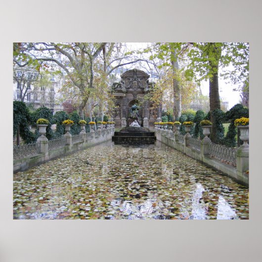 Medici FOuntain Poster (Voorkant)