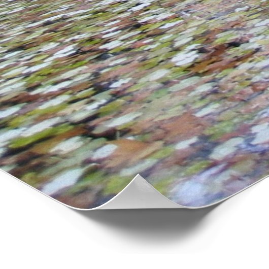 Medici FOuntain Poster (Hoek)