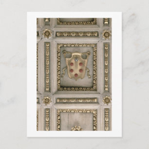 Medici-jas van de kerk briefkaart