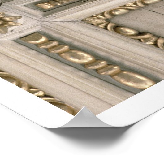 Medici-jas van de kerk poster (Hoek)