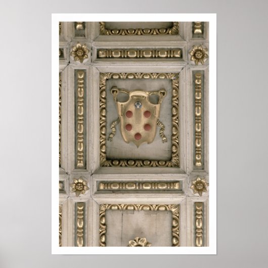 Medici-jas van de kerk poster (Voorkant)