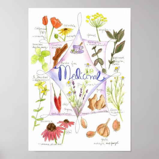 Medicinal Herb Garlic Echinacea Ginger Poster (Voorkant)