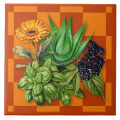 Medicinal Herbs Kitchen Accent Tile Tegeltje (Voorkant)