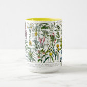 Medicinal Plants & Flowers by Adolphe Millot Mok (Midden)