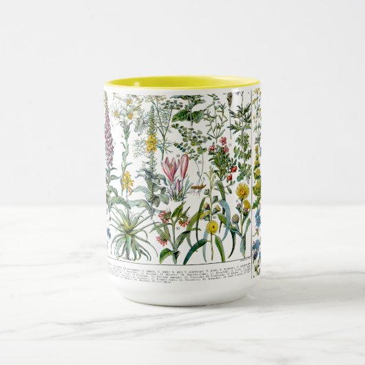 Medicinal Plants & Flowers by Adolphe Millot Mok (Midden)