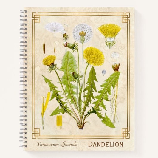  medicinale kruid Dandelion Bloem Botanisch Notitieboek (Voorkant)