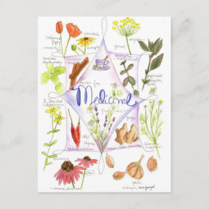 Medicinale kruid Echinacea Knolpapaver Briefkaart