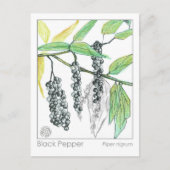 Medicinale kruid Materia Medica Herbal Study Kaart (Voorkant)