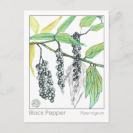 Medicinale kruid Materia Medica Herbal Study Kaart