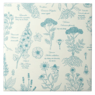 Medicinale kruidentuin herbarium in blauw en wit tegeltje