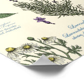 Medicinale kruidentuin herbarium op lichtgrijs poster (Hoek)