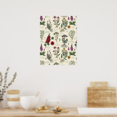 Medicinale kruidentuin herbarium op lichtgrijs poster (Keuken)