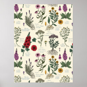 Medicinale kruidentuin herbarium op lichtgrijs poster