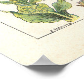 Medicinale Planten Calming Emollient Print in het (Hoek)