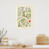 Medicinale Planten Calming Emollient Print in het (Keuken)