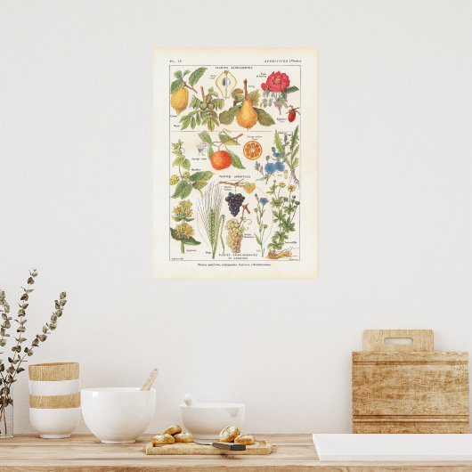 Medicinale Planten Verfrissend Afdruk in het Frans Poster (Keuken)