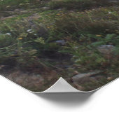 Medicine Bow Peak Schilderachtig Poster (Hoek)