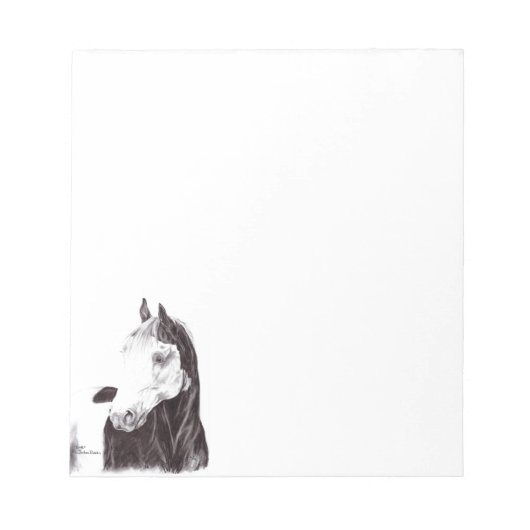 Medicine Hat Paint Horse Notitieblok (Voorkant)