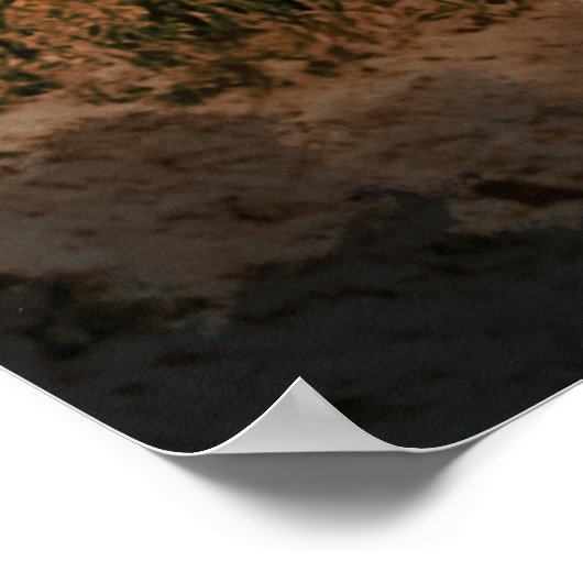 Medicine Man ~ after Edward S. Curtis Poster (Hoek)