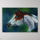 Medicine Pet Pinto Horse Poster (Voorkant)