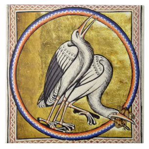 Medieval Aberdeen Bestiary slaat keramische Tegel  Tegeltje