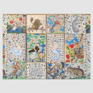 MEDIEVAL BESTIAIR SPEELEN MUSISCHE INSTRUMENTEN Bl Tissuepapier