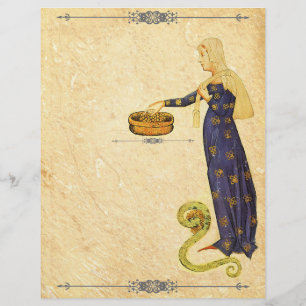 Medieval blanco boek van schaduwpagina Letterhead