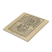 Medieval Boom van de Wetenschappen Tegeltje (Zijkant)