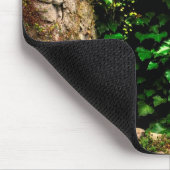 Medieval Chepstow Castle Monmouthshire, Wales, Ver Muismat (Hoek)