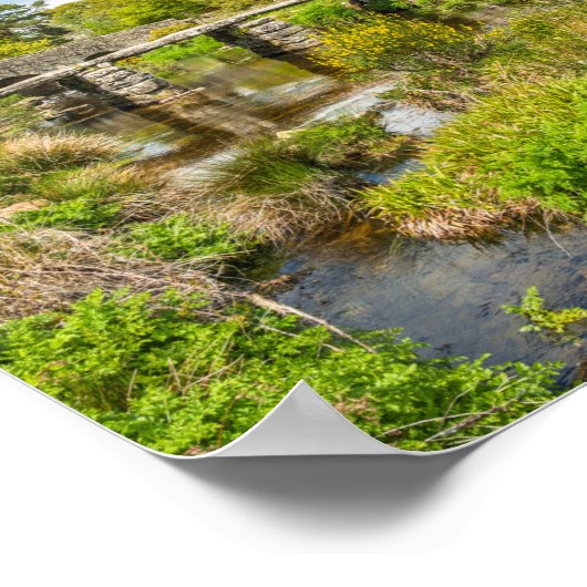 Medieval clapper brug over de rivier in Dartmoor V Poster (Hoek)