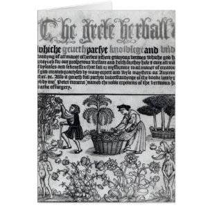 Medieval Herb Garden