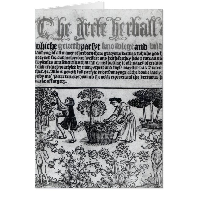 Medieval Herb Garden (Voorkant)