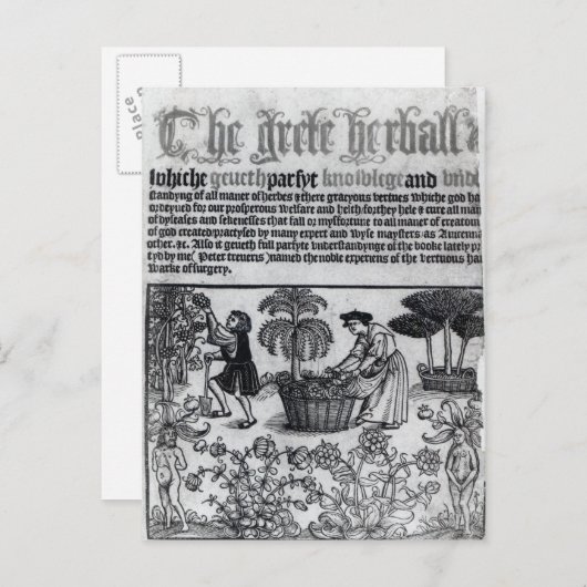 Medieval Herb Garden Briefkaart (Voorkant / Achterkant)