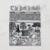 Medieval Herb Garden Briefkaart (Voorkant)