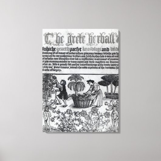 Medieval Herb Garden Canvas Afdruk (Voorkant)