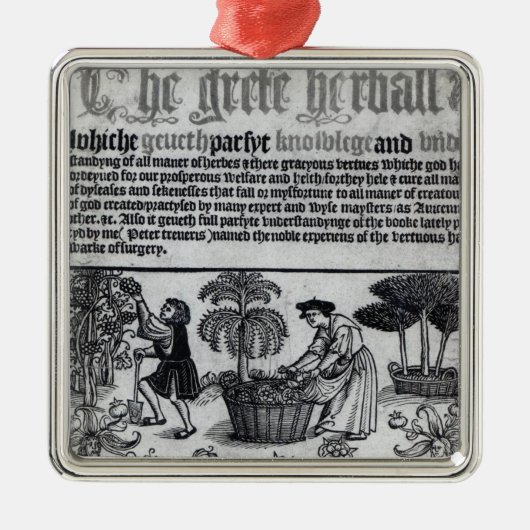 Medieval Herb Garden Metalen Ornament (Voorkant)