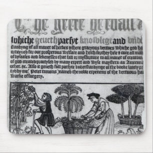 Medieval Herb Garden Muismat