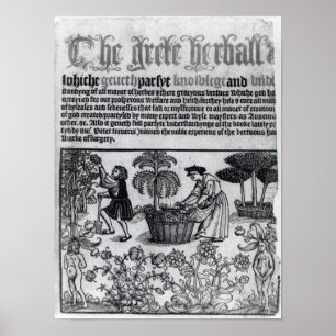 Medieval Herb Garden Poster