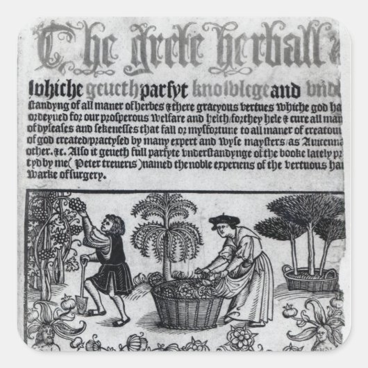 Medieval Herb Garden Vierkante Sticker (Voorkant)