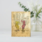 Medieval Herbalist Manuscript reëel foto-briefkaar Briefkaart (Staand voorkant)