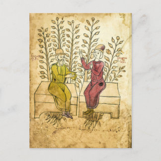 Medieval Herbalist Manuscript reëel foto-briefkaar Briefkaart