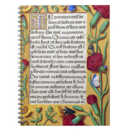 Medieval Illuminated Manuscript Gospel St. John Notitieboek