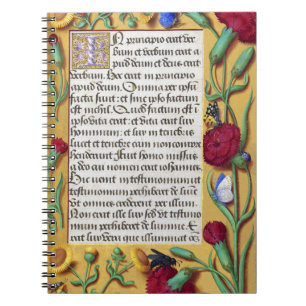 Medieval Illuminated Manuscript Gospel St. John Notitieboek