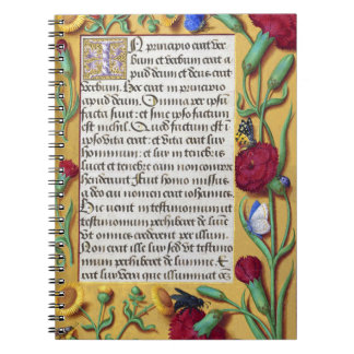 Medieval Illuminated Manuscript Gospel St. John Notitieboek