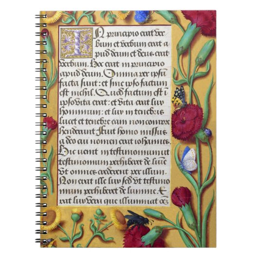 Medieval Illuminated Manuscript Gospel St. John Notitieboek (Voorkant)