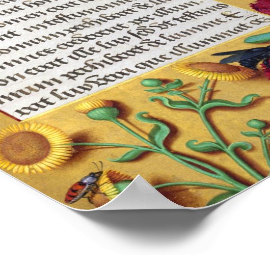 Medieval Illuminated Manuscript Gospel St. John Poster (Hoek)