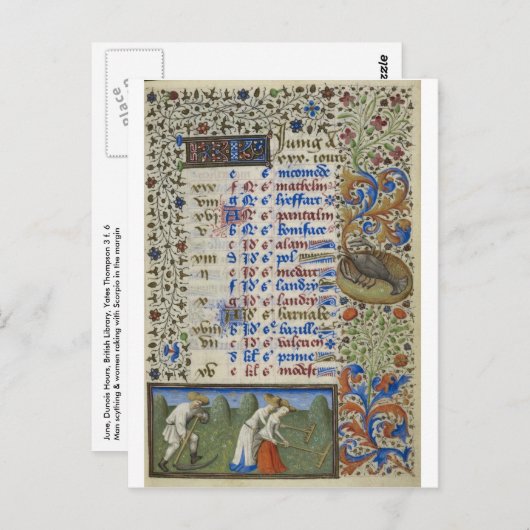 Medieval kalenderar: June Briefkaart (Voorkant / Achterkant)