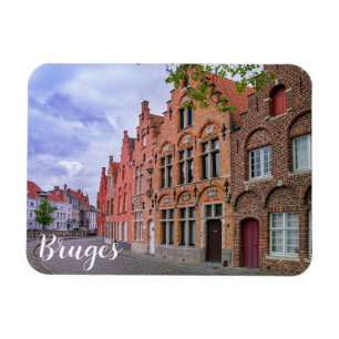 Medieval kleurrijke bakstenen in Brugge, België Magneet