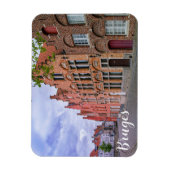 Medieval kleurrijke bakstenen in Brugge, België Magneet (Verticaal)